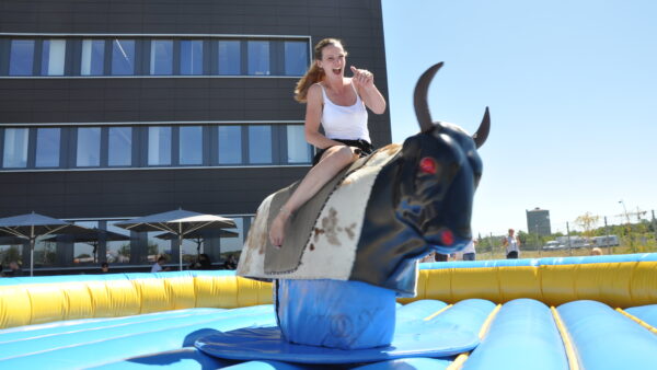 Bullriding mieten